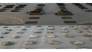 بحوزتهم 4 أطنان مخدرات.. ضبط تشكيل إجرامي شديد الخطورة فى رأس سدر 