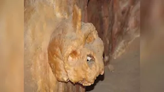 جمجمة بيترالونا الغامضة.. كشف جديد يحدد هويتها بعد ستة عقود من الجدل