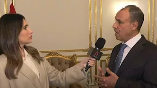وزير الخارجية: الدولة تضع مصالح المصريين بالخارج على رأس أولوياتها