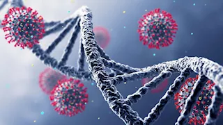 تسجيل إصابة جديدة بالحمى النزفية في كردستان العراق