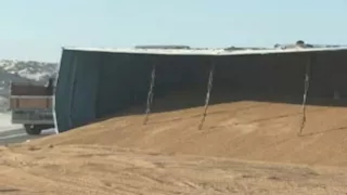 بسبب زيادة الاستهلاك.. ارتفاع واردات مصر من القمح إلى 12.7 مليون طن للعام الحالي