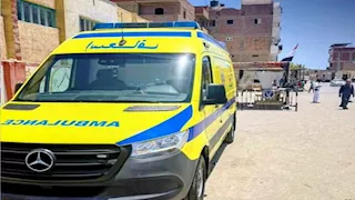 بخطة متكاملة.. 70 فريقًا طبيًا لتأمين انتخابات الشيوخ بأسوان (صور)