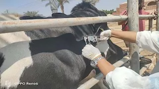 "الزراعة" تواصل جهود الكشف المبكر والسيطرة على الأمراض المشتركة خلال يوليو