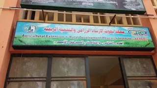 إطلاق برنامج لتنمية مهارات 90 مهندسًا زراعيًّا "تكنولوجيًّا" بشأن الإرشاد الزراعي