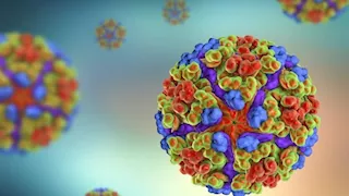 تفشي فيروس شيكونغونيا يثير القلق عالمياً.. هذه أعراضه وما يجب أن تعرفه عنه