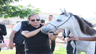 الشعب الواعي لا يُهزم.. السيسي: وعي المصريين سلاح مواجهة الشائعات