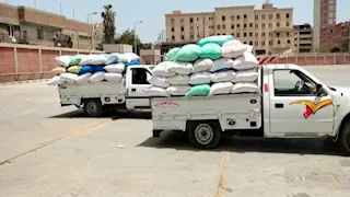 الشرقية تستقبل أكثر من 600 ألف طن قمح منذ بدء موسم الحصاد