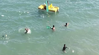 تنقل أمراضًا خطيرة للإنسان.. تنبيه مهم من المصايف لرواد شواطئ الإسكندرية - صور