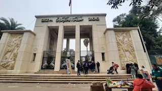 خبير عالمي: مشروع تطوير حديقة الحيوان المصرية سيكون من الأفضل على مستوى العالم