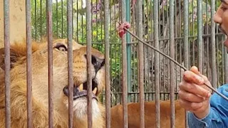 موقف الأشجار النادرة وموعد الافتتاح.. تعرف على آخر تفاصيل تطوير حديقة حيوان الجيزة 