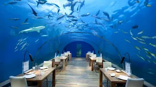  تجربة صادمة.. 20 صورة لأغرب فنادق حول العالم 