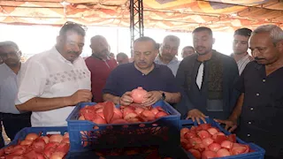 محافظ أسيوط يتفقد مواقع تجهيز وتصدير "الذهب الأحمر" بساحل سليم (صور)