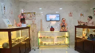 المتحف الصحي بالبحيرة.. رحلة مجانية مشوقة داخل جسم الإنسان -صور