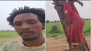 فيديو لفتاة سودانية معلقة على شجرة يشعل غضبًا.. وهجوم على الدعم السريع