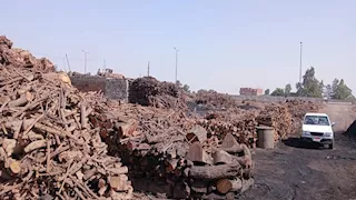  لمواجهة السحابة السوداء.. حملة مفاجئة على 150 مكمورة و44 فاخورة بالشرقية