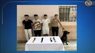 رعب في الشارع.. تفاصيل الهجوم بكلب وسلاح على سائق بالجيزة| فيديو