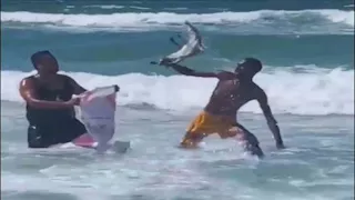 البيئة تكشف مصير تمساح أبوتلات..كيف وصل إلى شاطئ الإسكندرية؟ - صور