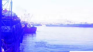 بعد غلق 4 شهور.. فرحة الصيادين بعودة الصيد بخليج السويس