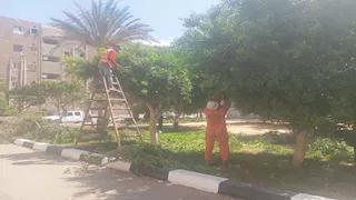 بالصور- جهاز التطوير والتجميل بالإسماعيلية يواصل أعماله بالمدارس والميادين