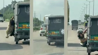 "شجاعة وذكية".. سيدة تنجو من محاولة خطف بطريقة درامية (فيديو)