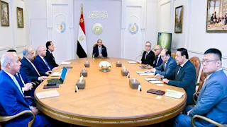 السيسي يبحث مع "سكاتك" و"صنجرو" توطين صناعة الطاقة الخضراء في مصر