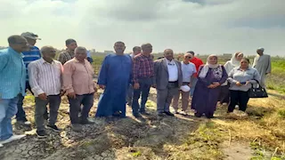 انطلاق فعاليات جني القطن المصري "الذهب الأبيض" بالقنطرة شرق (صور)