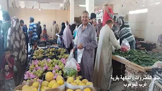 بالصور - مشروعات خدمية وتنموية في الوادي الجديد.. تعرف عليها