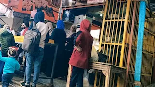 السويس تستهلك ولا تنتج.. غياب تفعيل شعبة الدواجن يرفع الأسعار على المواطنين