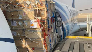 مصر للطيران تنجح في نقل شحنة من النحل الحي لأول مرة إلى مطار الباحة 