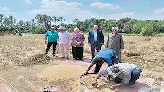 بإنتاجية مبشرة.. الإسماعيلية تبدأ حصاد "الذهب الأبيض" (صور)