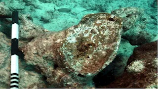 كشف أثري جديد: ميناء قديم مغمور بالمياه مرتبط بمعبد تابوزيريس ماجنا بالإسكندرية