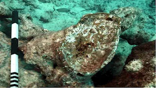 ميناء لم تذكره الخرائط.. تفاصيل أحدث كشف أثري في قاع البحر بالإسكندرية -صور