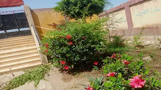 بالصور- مدارس البحيرة تتجمل لاستقبال العام الدراسي الجديد