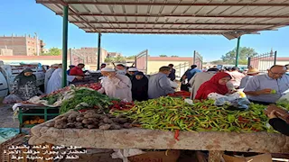  رياضة ونظافة وتموين في يوم واحد.. خدمات متكاملة بالوادي الجديد (صور)