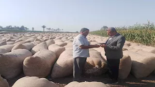 وكيل زراعة أسيوط يتفقد مراكز تجميع الأقطان مع بدء موسم التوريد (صور)