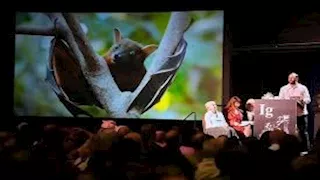 جائزة نوبل الساخرة لعام 2024.. تكريم أبحاث غريبة عن الخفافيش وصلصة المكرونة