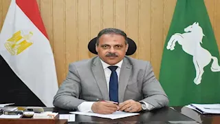 حملات نظافة وتجميل.. الشرقية تتزين للاحتفال بعيدها القومي