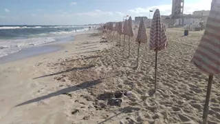 البحر ملكك لوحدك.. سبتمبر "شهر الروقان" على شواطئ الإسكندرية -صور