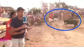 فيديو حقق 8 ملايين مشاهدة.. ثور يهاجم مراسلا تلفزيونيا على الهواء وهذا ما حدث