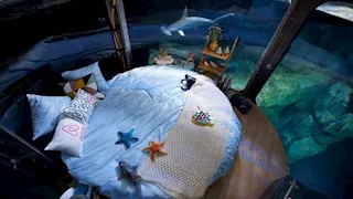 فندق تحت الماء.. غرف تطل على أسماك القرش مباشرة