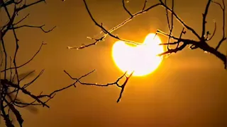 15 صورة ترصد تحول الشمس لهلال أثناء الكسوف الجزئي أمس الأحد 