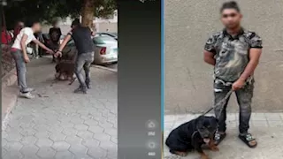 الداخلية تكشف ملابسات فيديو التعدي على "كلب ضال" بالعجوزة