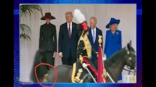 فيديو طريف.. حصان يخطف الأنظار خلال زيارة ترامب إلى لندن