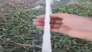 مفاجأة غريبة.. مياه بيضاء كاللبن تتدفق في منازل مدينة عربية (فيديو)