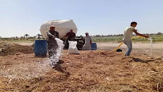 بحوث الصحراء يحول المخلفات الزراعية لسماد وأعلاف غير تقليدية بجنوب سيناء