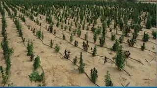 14 صورة لمزرعة الموت في الإسماعيلية.. ماذا وجدت الداخلية؟