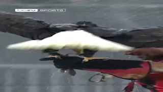 "بسبب النسر".. موقف طريف في مباراة روما ونيس بالدوري الأوروبي (فيديو)