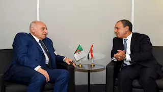 مصر والجزائر تشددان على ضرورة الوقف الفوري والشامل للعمليات العسكرية في غزة