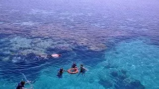 جواهر البحر الأحمر.. رحلة إلى جنة تيران وصنافير