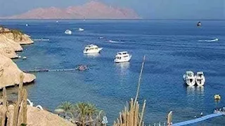 جواهر البحر الأحمر.. رحلة إلى جنة تيران وصنافير